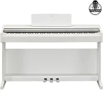 پیانو یاماها YDP-145