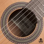 گیتار کلاسیک الحمبرا زدنیچرZ-Nature