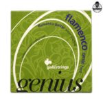 سیم گیتار گالی فلامنکو gr100