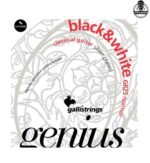 سیم گیتار گالی gr25