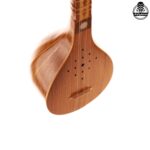 سه تار مهدی - تصویر 4