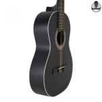 گیتار کلاسیک پارسی M4 - تصویر 3