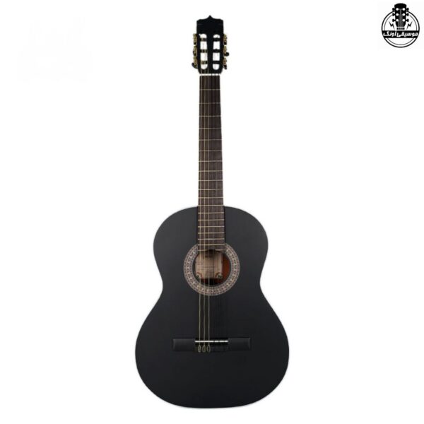 گیتار کلاسیک پارسی M4