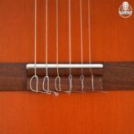 گیتار کلاسیک پارسی مدل Parsi M6 - تصویر 9