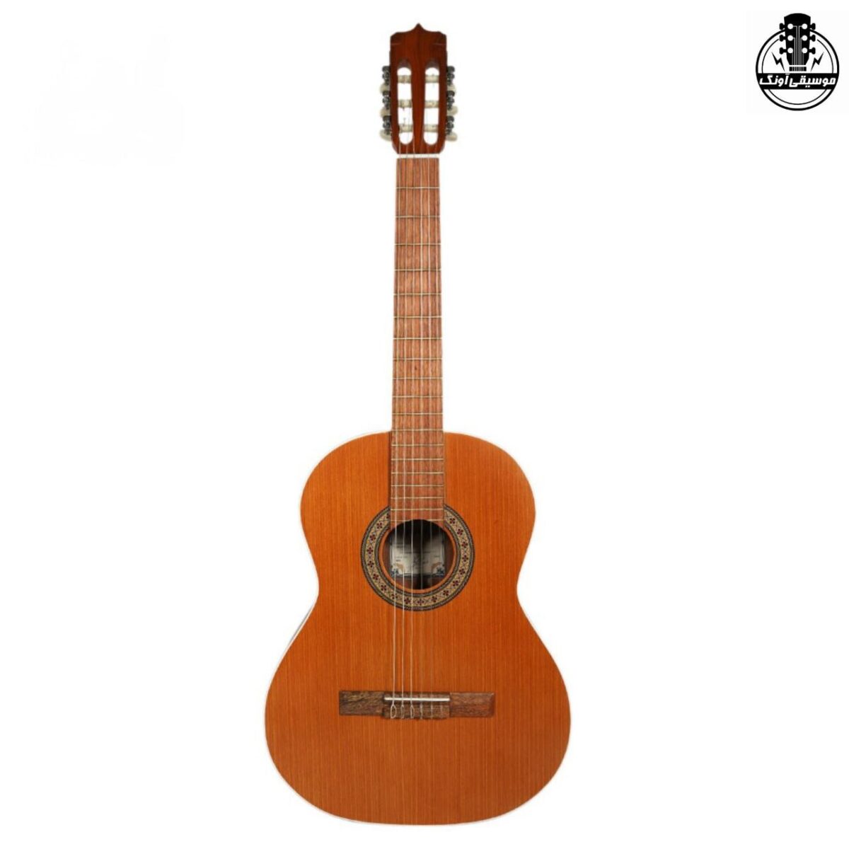 گیتار پارسی D6 - تصویر 1