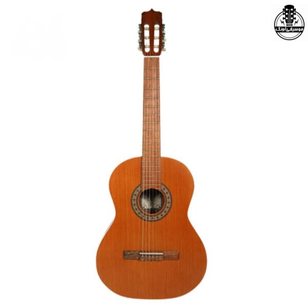 گیتار پارسی D6