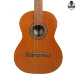 گیتار پارسی D6 - تصویر 3