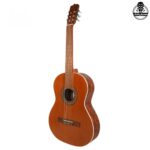 گیتار پارسی D6 - تصویر 4