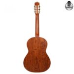 گیتار پارسی D6 - تصویر 2
