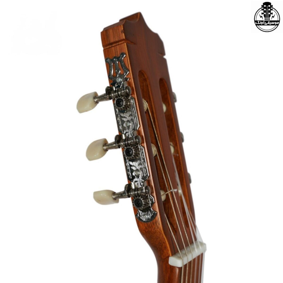 گیتار پارسی D6 - تصویر 6