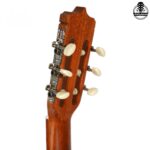 گیتار پارسی D6 - تصویر 5