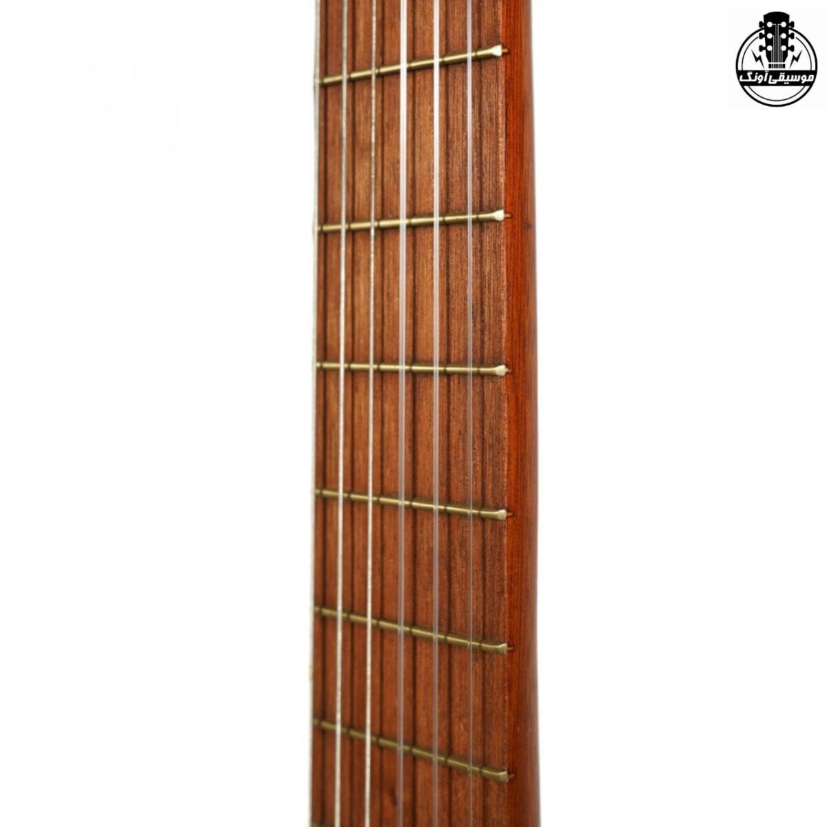 گیتار پارسی D6 - تصویر 7