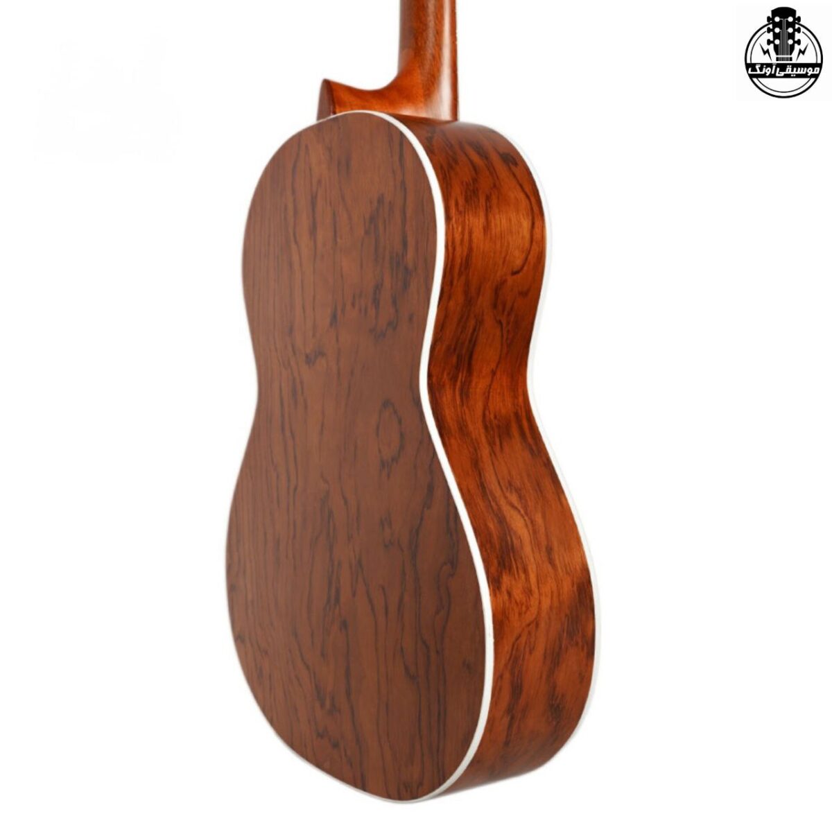 گیتار پارسی D6 - تصویر 10