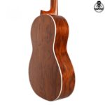 گیتار پارسی D6 - تصویر 10