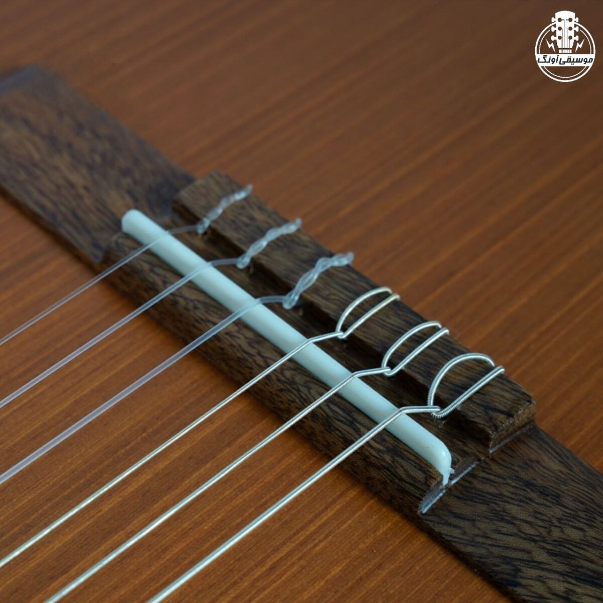 گیتار پارسی D6 - تصویر 8