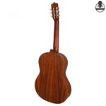 گیتار پارسی D3 - تصویر 2
