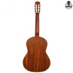 گیتار پارسی D3 - تصویر 7