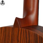 گیتار پارسی D3 - تصویر 5