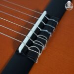 گیتار پارسی D3 - تصویر 11
