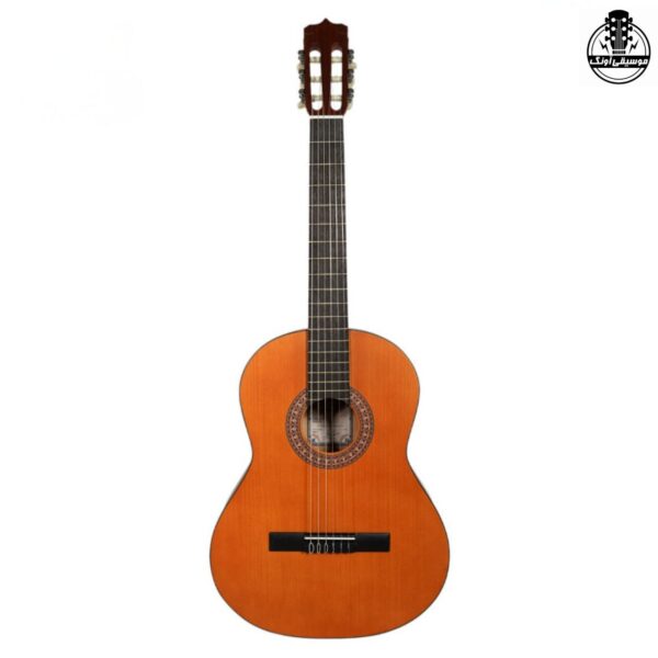 گیتار پارسی D3
