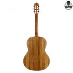 گیتار پارسی P70 - تصویر 3