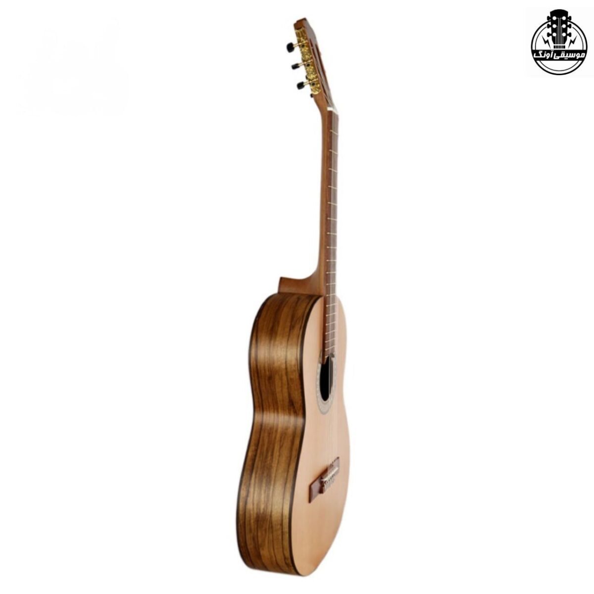 گیتار پارسی P70 - تصویر 2