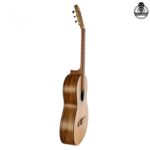 گیتار پارسی P70 - تصویر 2