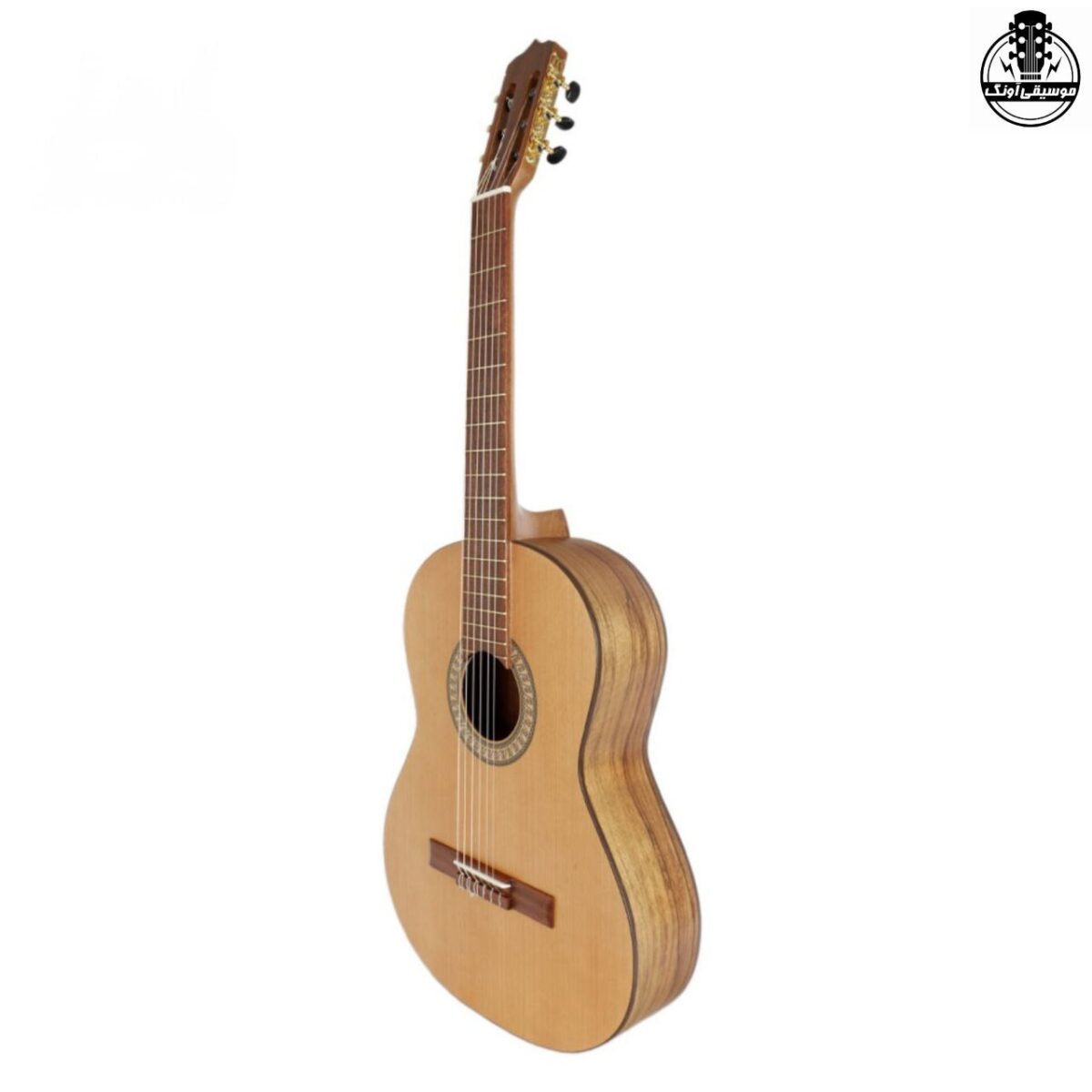 گیتار پارسی P70 - تصویر 5