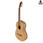 گیتار پارسی P70 - تصویر 5
