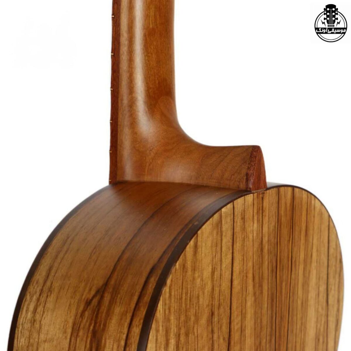 گیتار پارسی P70 - تصویر 4