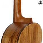 گیتار پارسی P70 - تصویر 4