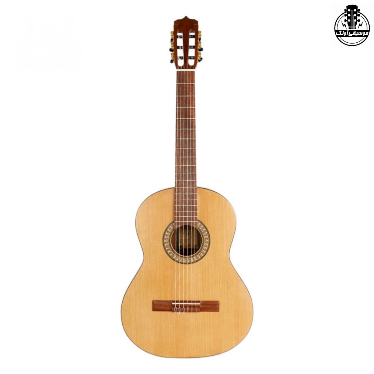 گیتار پارسی P70 - تصویر 1