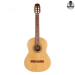 گیتار پارسی P70