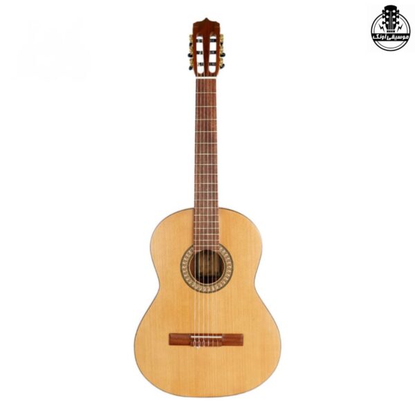 گیتار پارسی P70