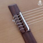 گیتار پارسی P70 - تصویر 8