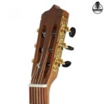 گیتار پارسی P70 - تصویر 7