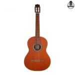 گیتار پارسی مدل P40
