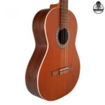 گیتار پارسی مدل P40 - تصویر 4