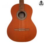 گیتار پارسی مدل P40 - تصویر 7