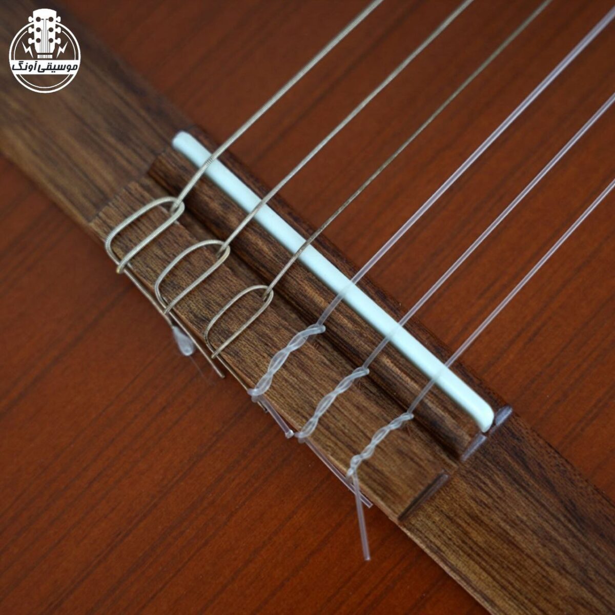 گیتار پارسی مدل P40 - تصویر 6