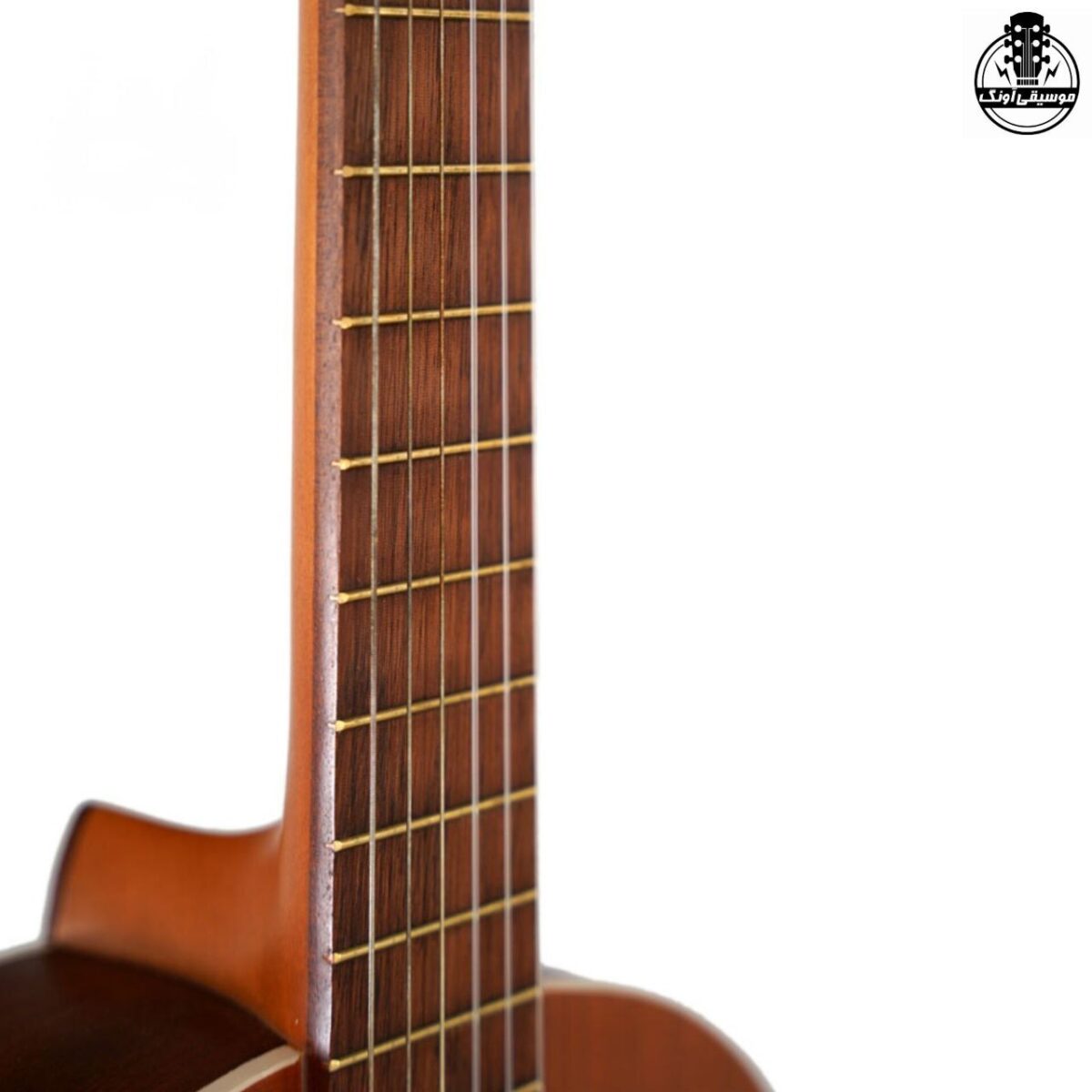 گیتار پارسی مدل P40 - تصویر 9
