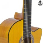 گیتار امپریال Imperial - تصویر 19