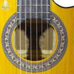 گیتار امپریال Imperial - تصویر 8