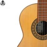 گیتار پارسی مدل K120 - تصویر 3