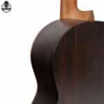 گیتار پارسی مدل K120 - تصویر 5