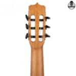 گیتار پارسی مدل K120 - تصویر 11