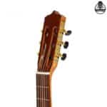 گیتار پارسی مدل K150 - تصویر 7