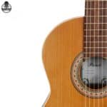گیتار پارسی مدل K150 - تصویر 9